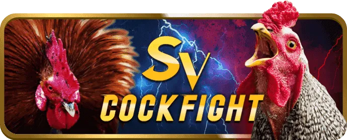 livearena cockfight